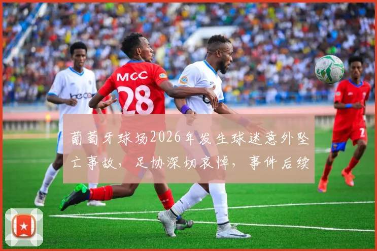 葡萄牙球场2026年发生球迷意外坠亡事故，足协深切哀悼，事件后续与球场安全防范要点解读