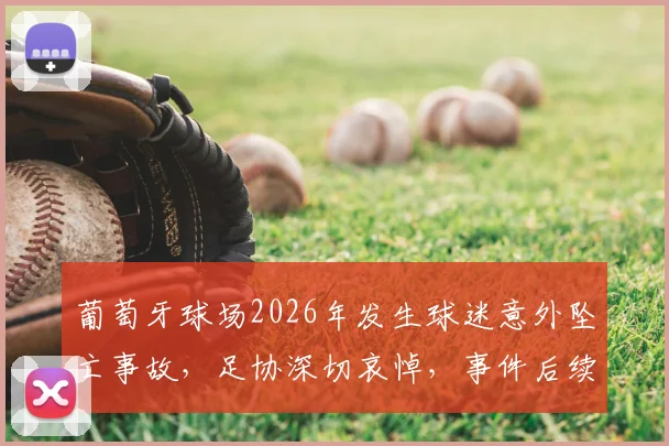 葡萄牙球场2026年发生球迷意外坠亡事故，足协深切哀悼，事件后续与球场安全防范要点解读